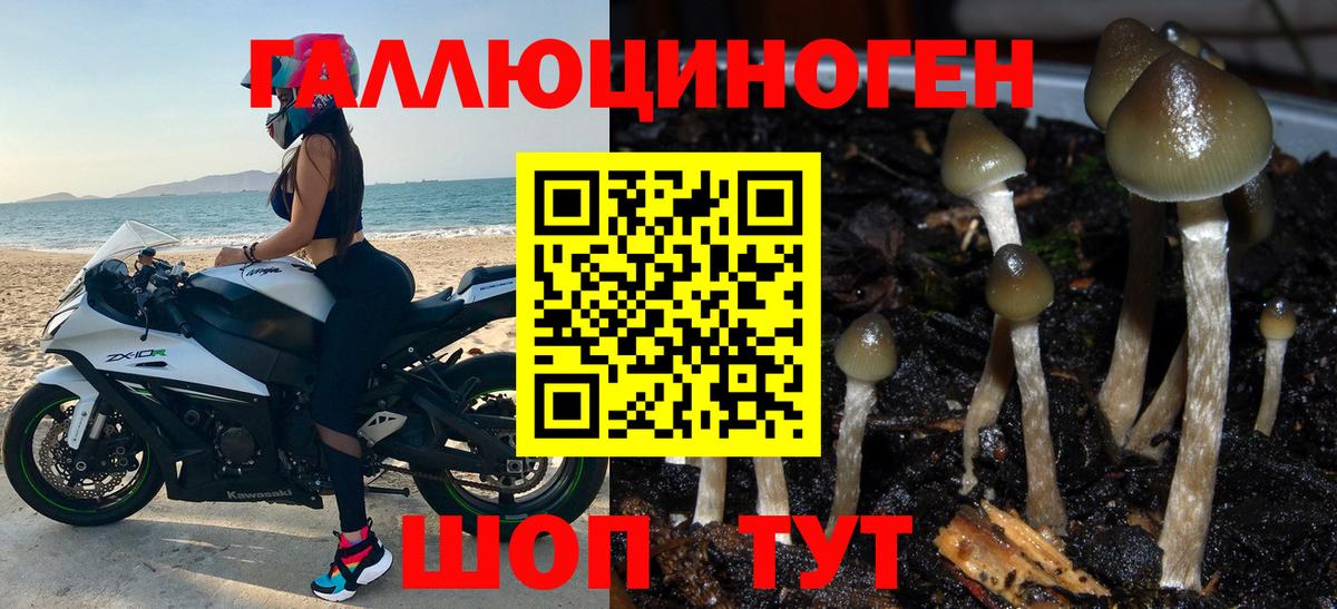 Галлюциногенные грибы прущие грибы Кизилюрт