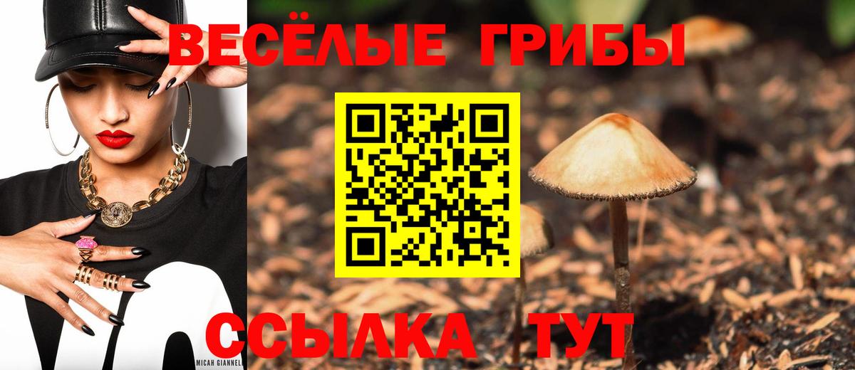 Кизилюрт  Псилоцибиновые грибы мухоморы  Вход с VPN 